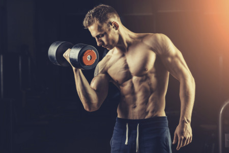 ¿Por qué nos gusta tanto muscular el bíceps?