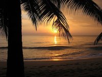 Háganse ricos por favor