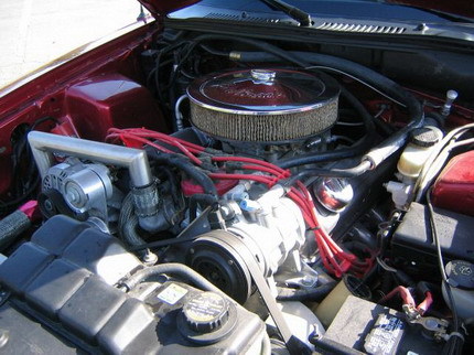 Muskrat Mustang Pick-up