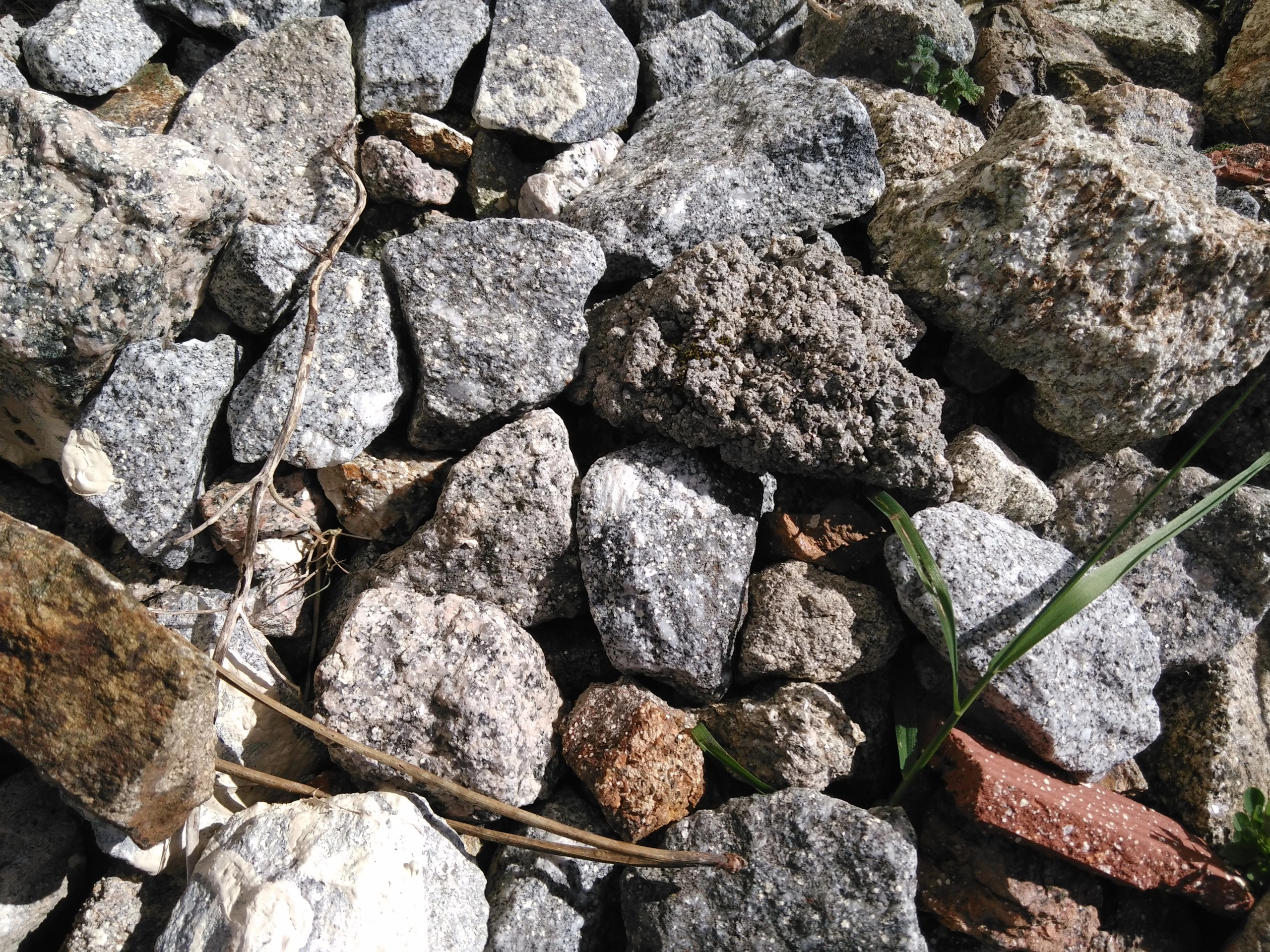 Foto de Wiko Ridge 4G, cámara (15/19)