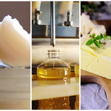 Qué es peor, ¿el aceite de palma, la manteca de cerdo o la mantequilla?