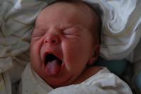 El sentido del gusto en el bebé