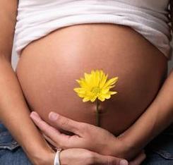 El colesterol bajo durante el embarazo predispone a un parto prematuro