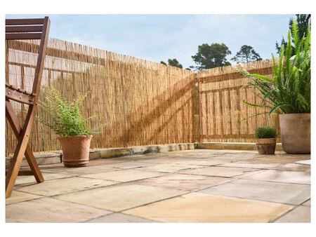 Canizo De Junco Para Proteccion Visual Zoom 18