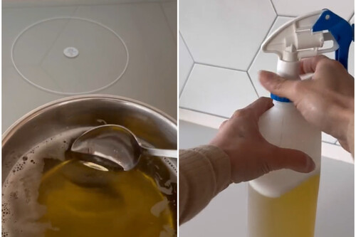 Jabón y alcohol para las plantas