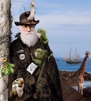 ¿La evolución es una teoría o es un hecho? (I)