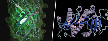 Engineers Wanted to Simulate 500 Million Years of Evolution Using AI. They Found a New Fluorescent Protein Along the Way