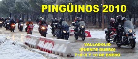 Pingüinos de ruta