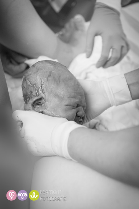 014 Head Born Fermont Fotografie