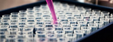 El gran reto contra el cáncer: el problema del sistema inmunitario es lo fácil que es atacar a todo el organismo sano