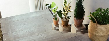 Qué puedes hacer si tu vecino ocupa la puerta del piso con plantas y macetas, según la Ley de Propiedad Horizontal 