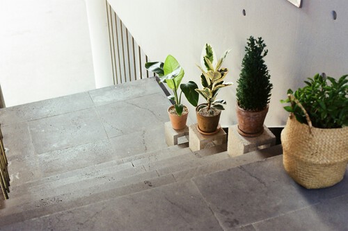 plantas en el rellano+