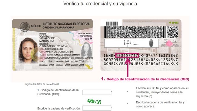 ¿Cómo comprobar si podrás votar con tu actual credencial del IFE/INE en