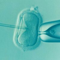 Un solo hombre ha engendrado a 197 hijos repartidos por 14 países de Europa. Y es señal de un problema más profundo