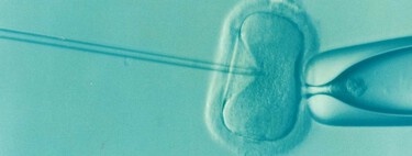 A single man has fathered 197 children spread across 14 countries in Europe. And it's a sign of a deeper problem.