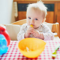 Alimentación activa o cómo ofrecer la alimentación complementaria con un enfoque positivo 