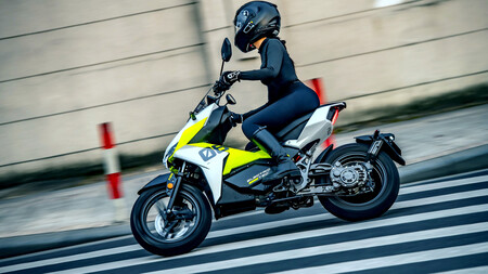 Felo Fw 2 2023