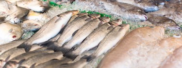 Los pescaderos y cocineros lo saben bien: cuando compres pescado fresco en el supermercado o pescadería, mira esto en la etiqueta 