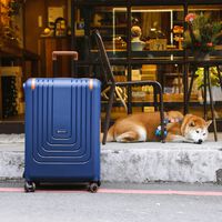 Si quieres viajar por Europa con tu mascota ahora habrá algo más importante que la maleta o los billetes: su pasaporte