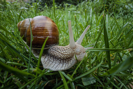 Nxt 20220831 182211 197 Merged Look