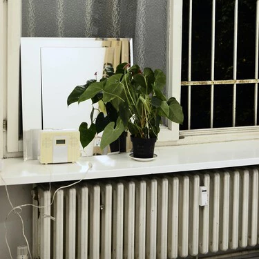 Pexels Skylar Kang 6044649