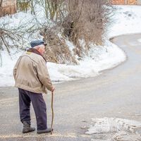 Que las pensiones suban con el IPC un año de alta inflación es pegarse un tiro en el pie para España