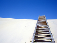 Amnistía fiscal: mentiras arriesgadas