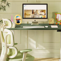 Este escritorio elevable y silla de Flexispot son perfectos para darle un toque colorido a tu despacho en casa