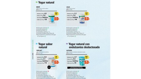 Yogurt Natural