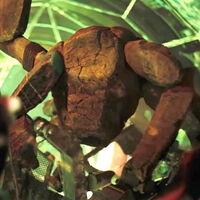 Rocky podría estar nominado al Óscar a Mejor Actor. 'Proyecto Salvación' tiene un plan para que destaque más allá de los efectos visuales 