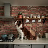 Este error con la campana extractora puede ser hasta peligroso. Hará que no funcione bien y se llene la cocina de humo 