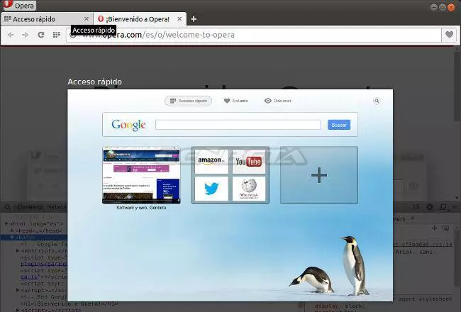 Opera 24 Developer para GNU/Linux, Acceso rápido