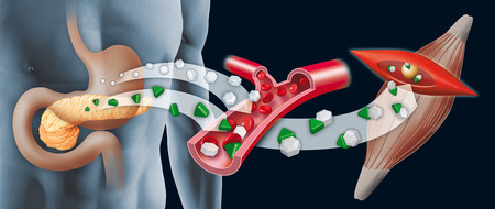 Indice glucémico y carga glucémica, ¿qué son y para qué sirven?