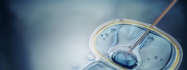 Por qué los bebés modificados de China han armado tanto revuelo, si en Harvard quieren hacer algo parecido