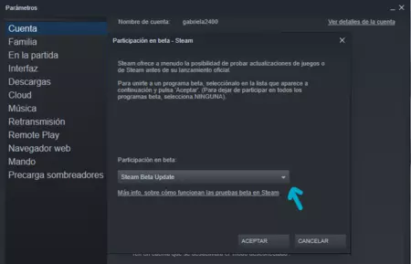 beta steam