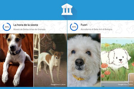 Google Arts & Culture te dice a qué obras de arte se parece tu mascota con una foto
