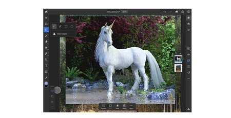 D82a58cd Ead9 4c77 99b2 026d0d01c9b3