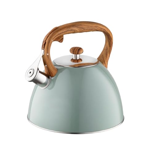 Tetera FLORINA (2,5 l) | Hervidor de Acero Inoxidable 