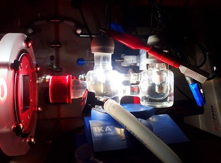 Este método que convierte luz solar en combustible es más eficiente que la fotosíntesis