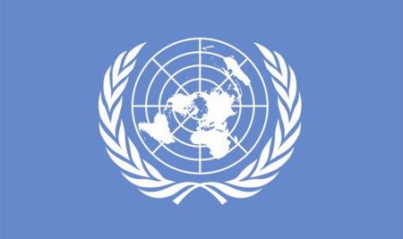 El acceso a Internet y la libre expresión online ya forman parte de los Derechos Humanos
