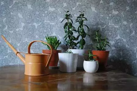 Una buena idea: agrupar las plantas
