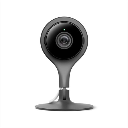 nestcam