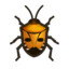 Bed Bug Human Face
