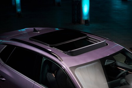 Terramar Dark Void 21