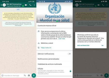 Bot Coronavirus Whatsapp