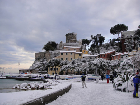 Robertobertoli