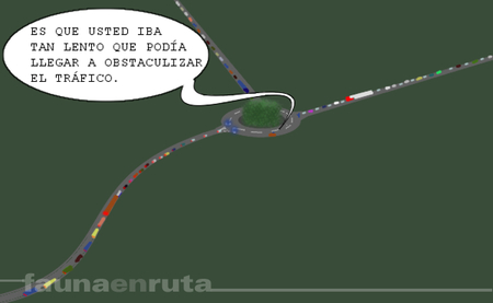 fauna en ruta: Mossos d