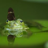 Tendencias asociadas a la Responsabilidad Social Corporativa en 2019 