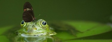 Tendencias asociadas a la Responsabilidad Social Corporativa en 2019 