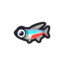 Tetra Neon